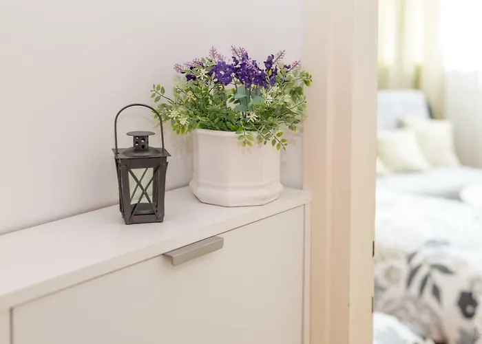 Doris,self Check In 斯普利特